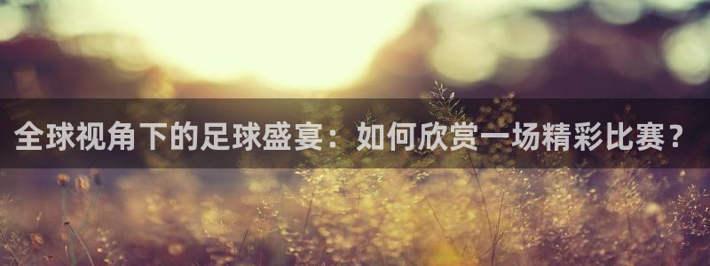 世界杯今年:全球视角下的足球盛宴:如何欣赏一场精彩比赛?