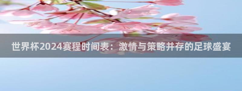 世界杯决赛预测:世界杯2024赛程时间表:激情与策略并存的足球盛宴