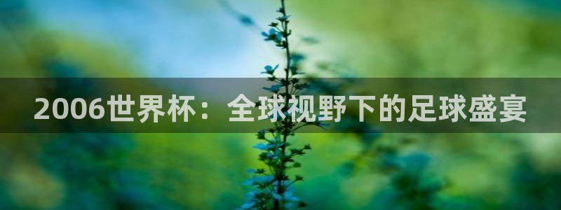 女足世界杯直播在线观看免费高清:2006世界杯:全球视野下的足球盛宴