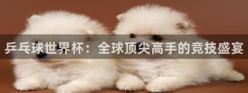 2026足球世界杯赛程:乒乓球世界杯:全球顶尖高手的竞技盛宴