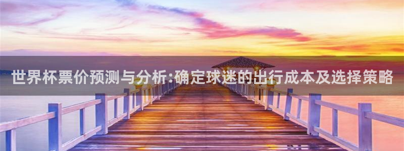 2026世界杯中国队:世界杯票价预测与分析:确定球迷的出行成本及选择策略